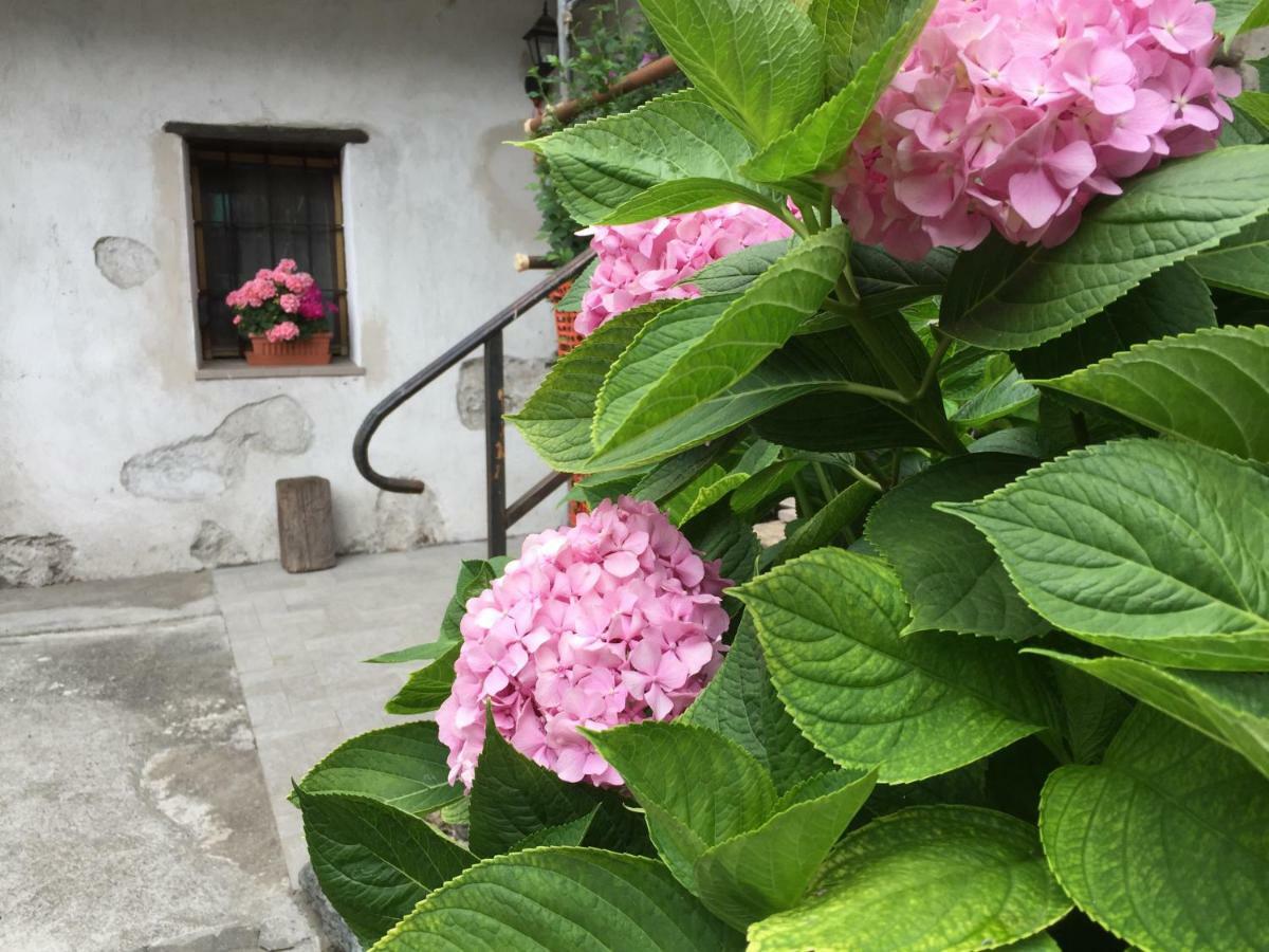 Maison Cassius Issogne ภายนอก รูปภาพ