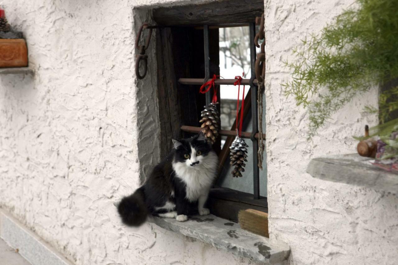 Maison Cassius Issogne ภายนอก รูปภาพ